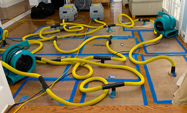 Professional Burst Pipe Water Damage technician working in Hatfield, PA